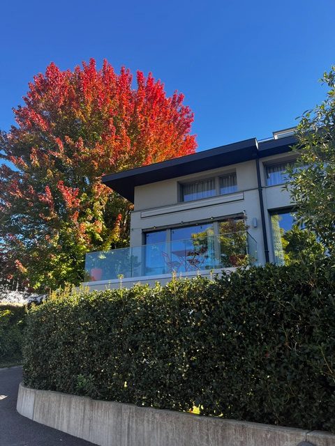 Magnifique 2.5 pièce avec jardin - Lausanne