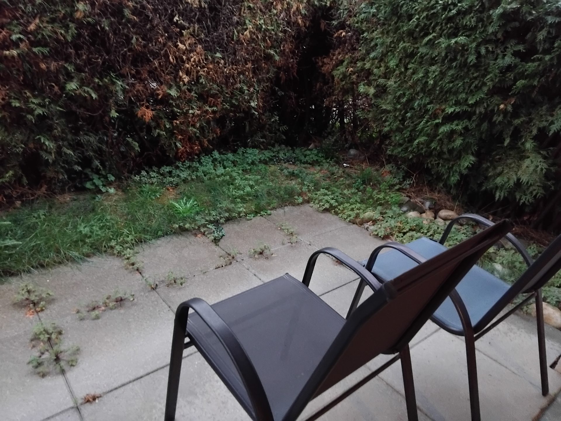 Epalignes · photo 5